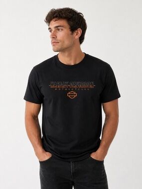 Harley-Davidson Motorcycles Spell Out Graphic T-Shirt Black (Large)